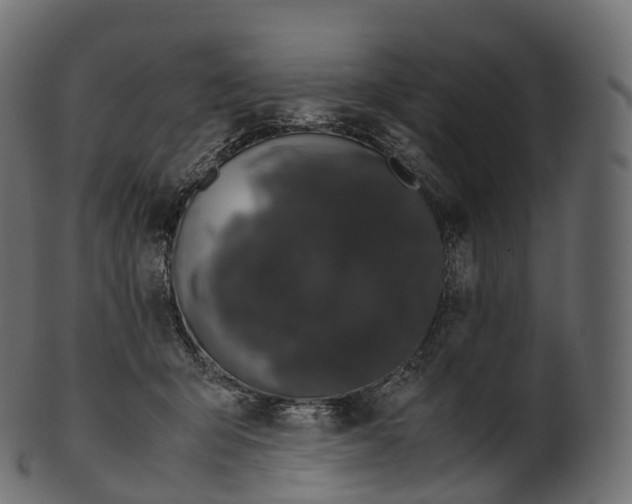 X0000100490415200807031921