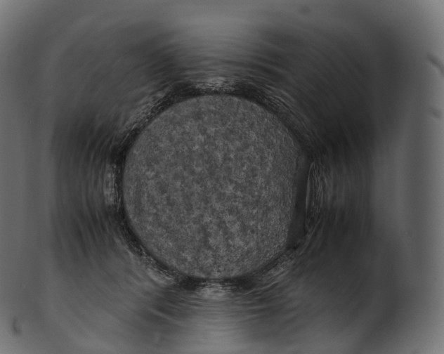 X0000100490416200807031921