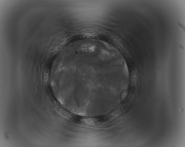 X0000100490417200807031921