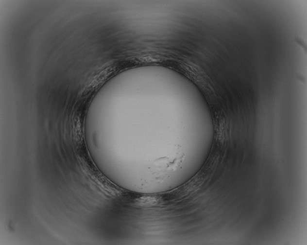 X0000100490418200807031921