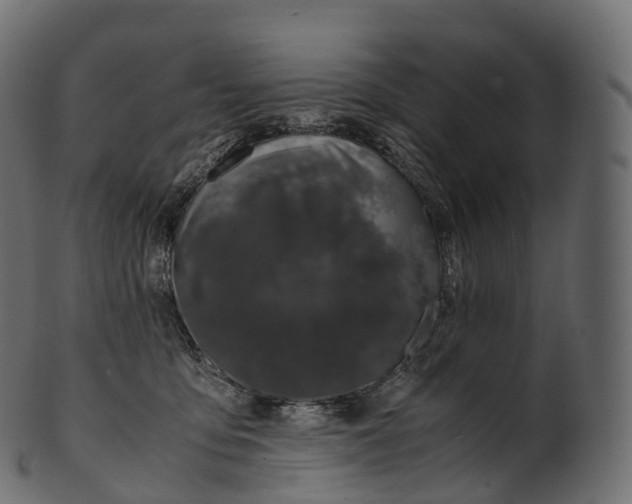 X0000100490419200807031921