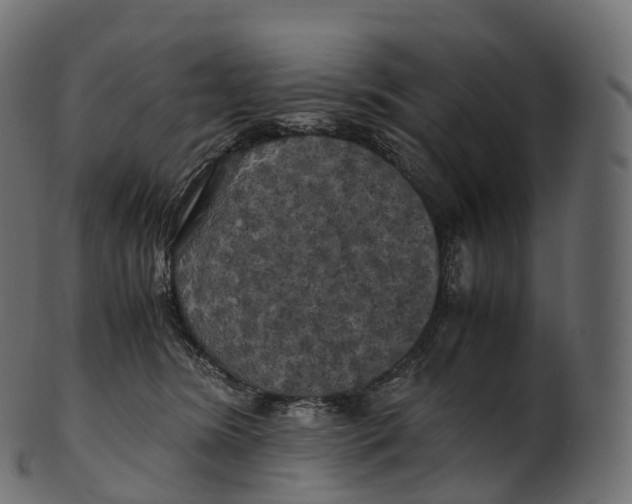 X0000100490420200807031921