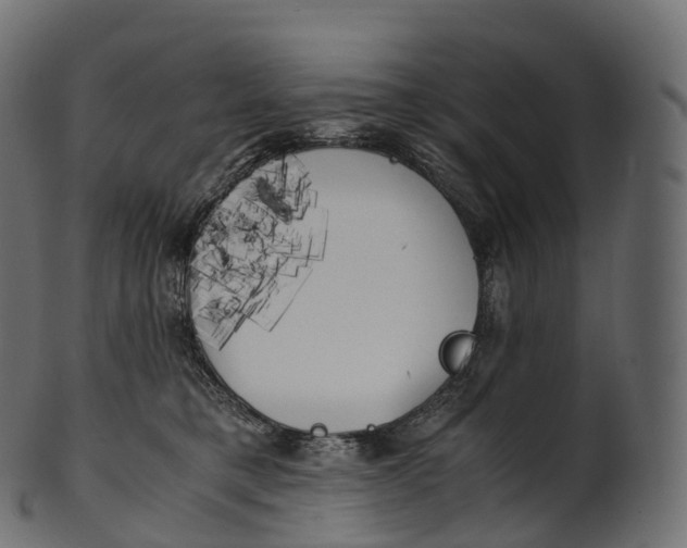 X0000100490421200807031921