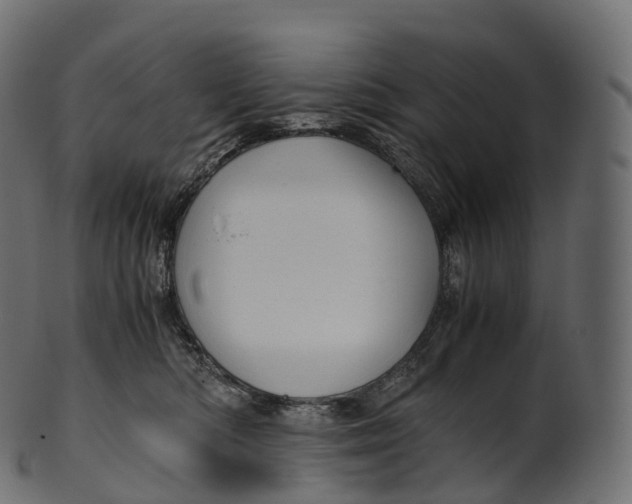 X0000100490422200807031921