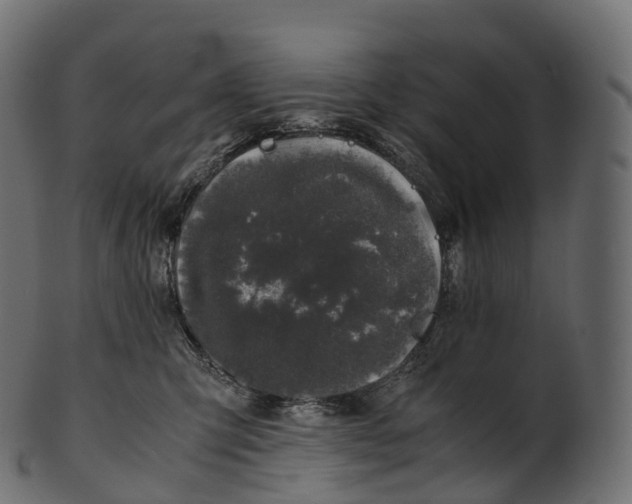 X0000100490423200807031921