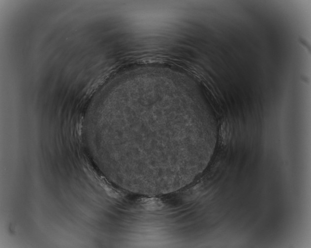 X0000100490424200807031921