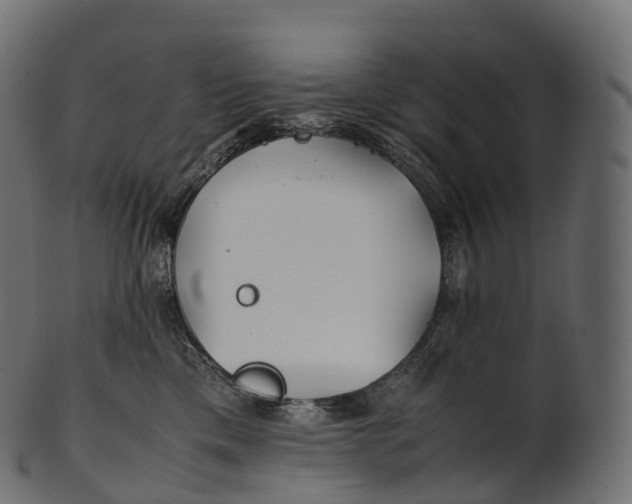 X0000100490425200807031921