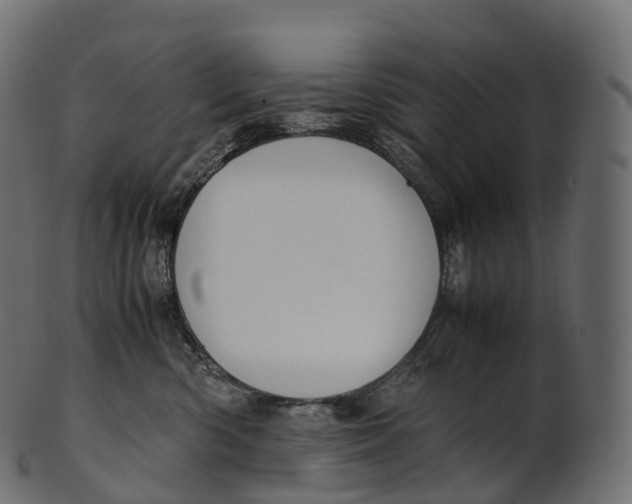 X0000100490426200807031921