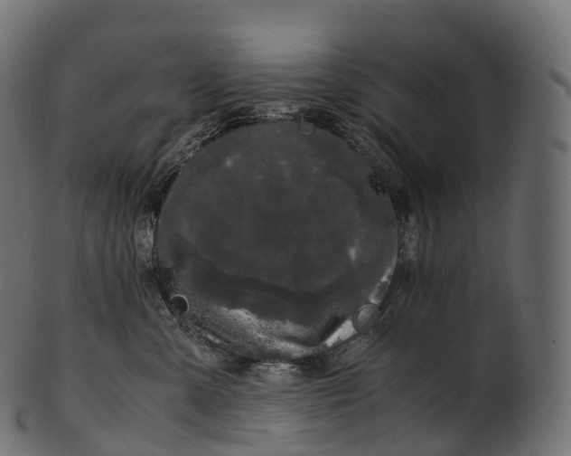 X0000100490427200807031921