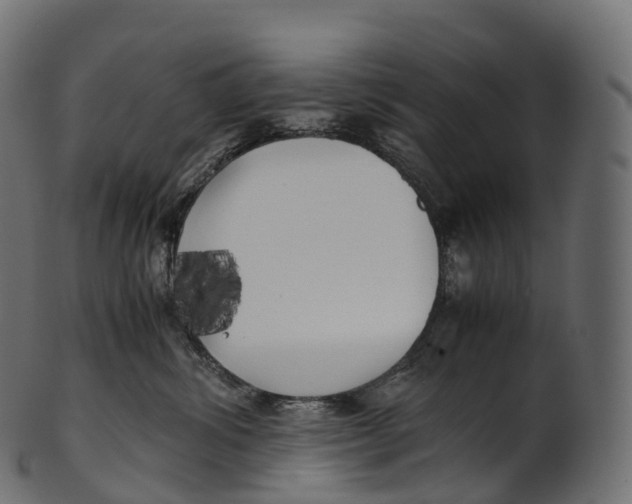 X0000100490428200807031921