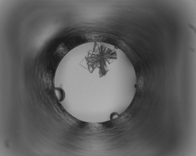 X0000100490429200807031921