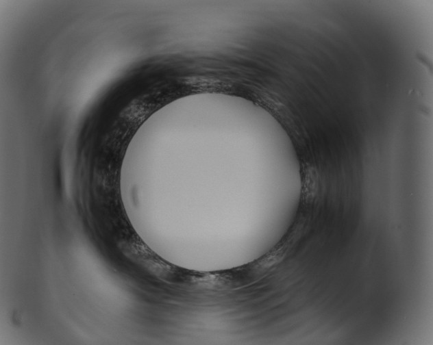 X0000100490430200807031921