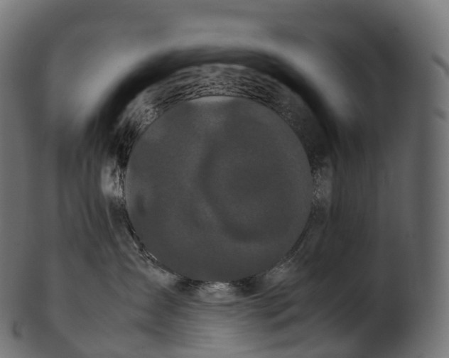 X0000100490431200807031921