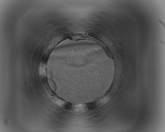 X0000100490432200807031921