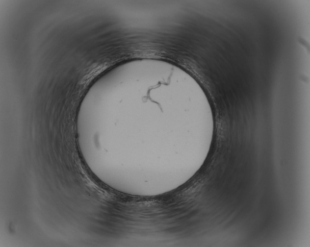 X0000100490433200807031920