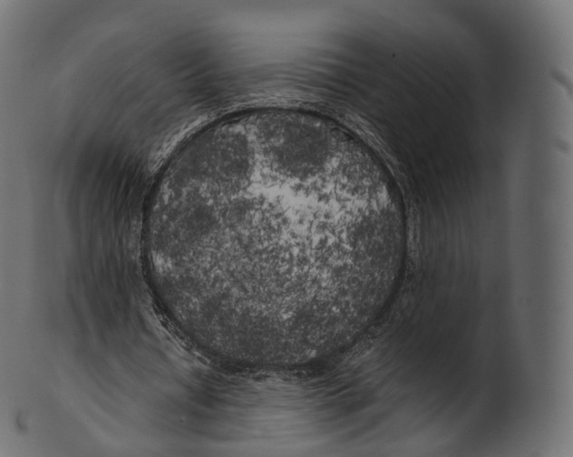 X0000100490434200807031920