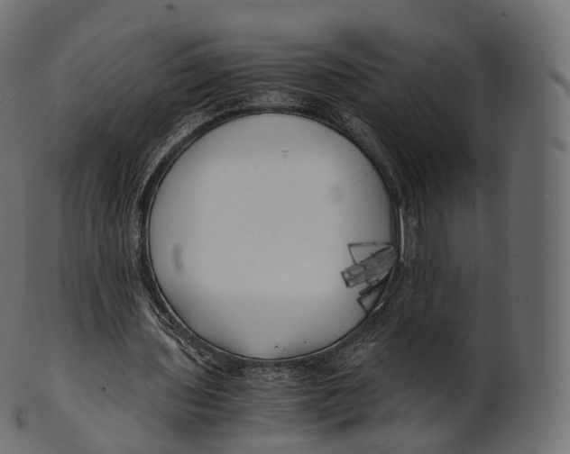 X0000100490435200807031920