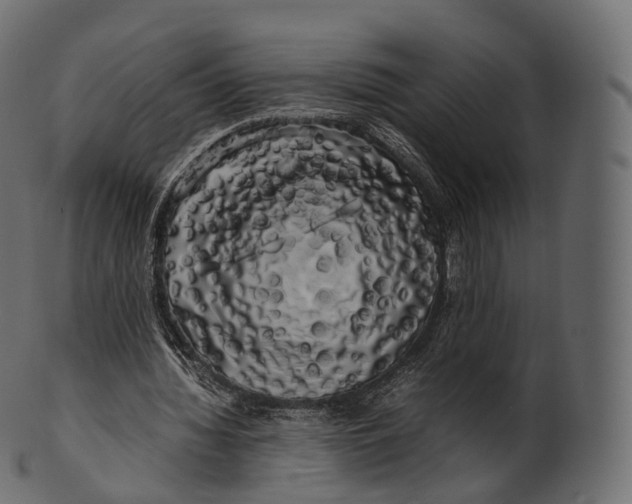 X0000100490436200807031920