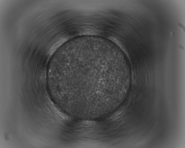 X0000100490437200807031920