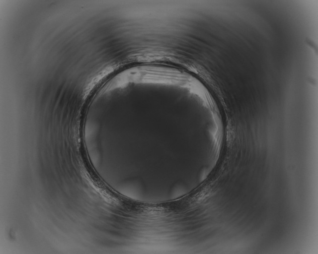 X0000100490438200807031920