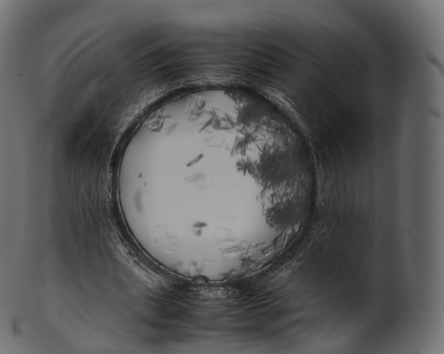 X0000100490439200807031920