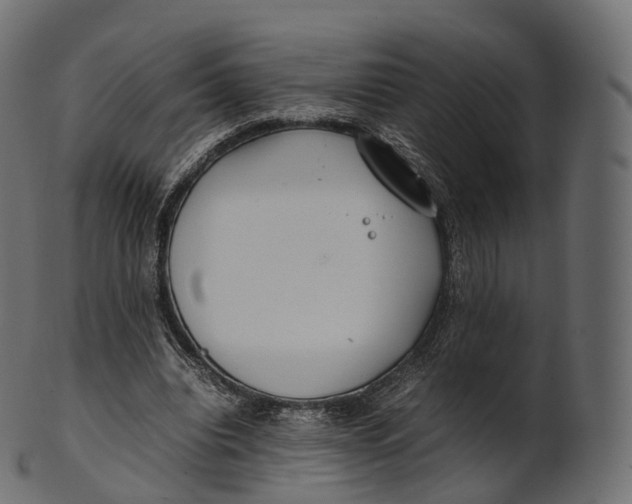 X0000100490440200807031920