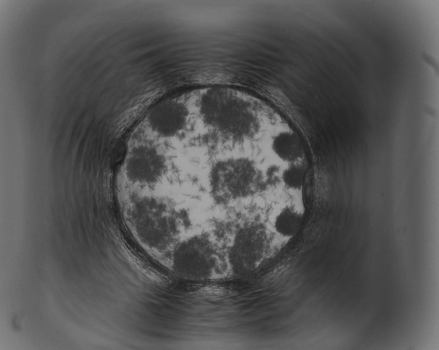 X0000100490441200807031920