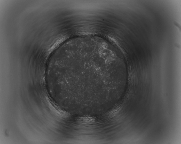 X0000100490443200807031920