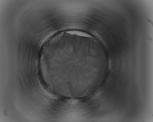 X0000100490444200807031920