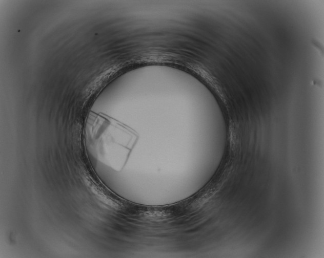 X0000100490445200807031920