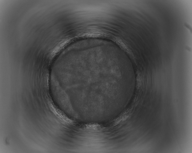 X0000100490446200807031920