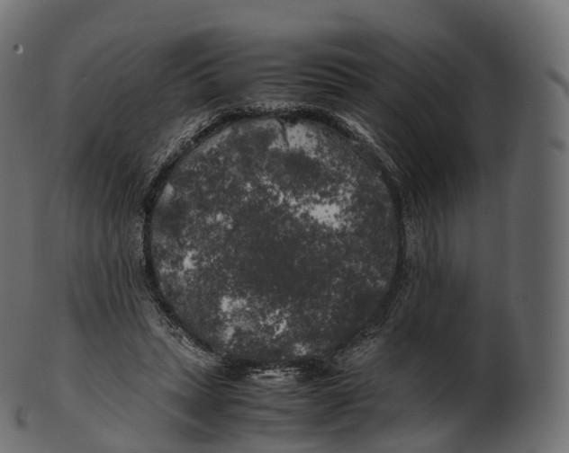 X0000100490447200807031920