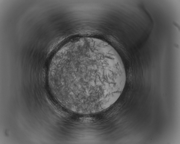 X0000100490448200807031920