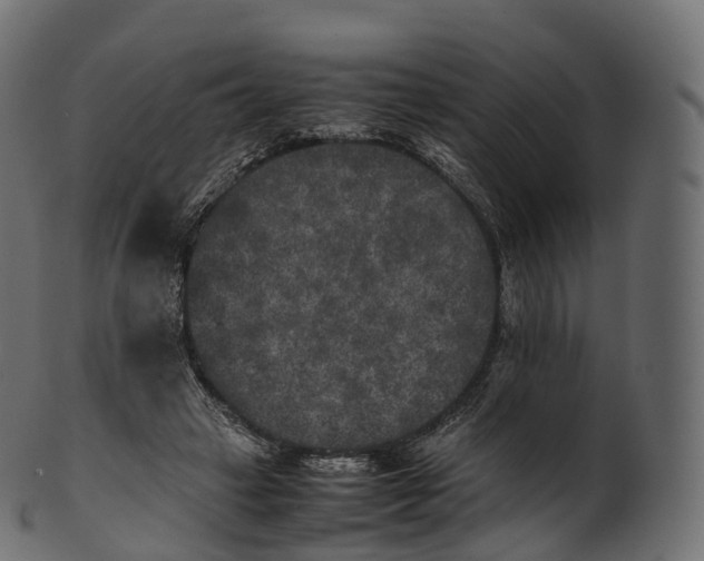 X0000100490449200807031920