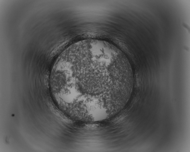 X0000100490450200807031920