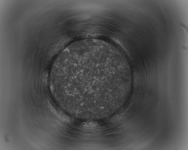 X0000100490451200807031920