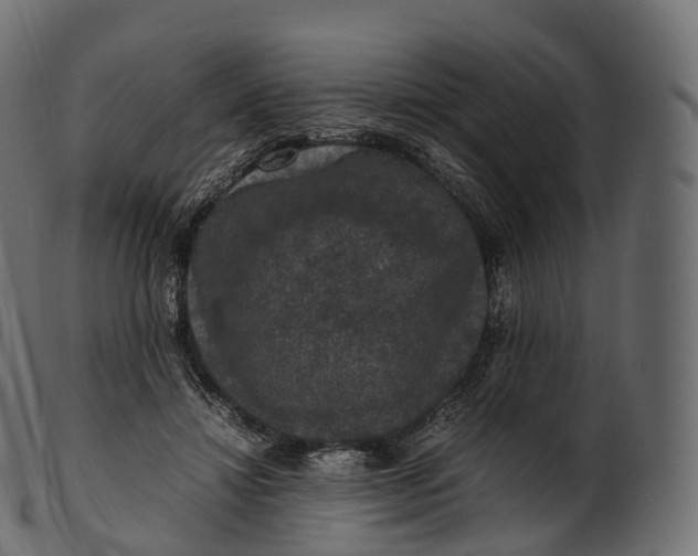 X0000100490452200807031920