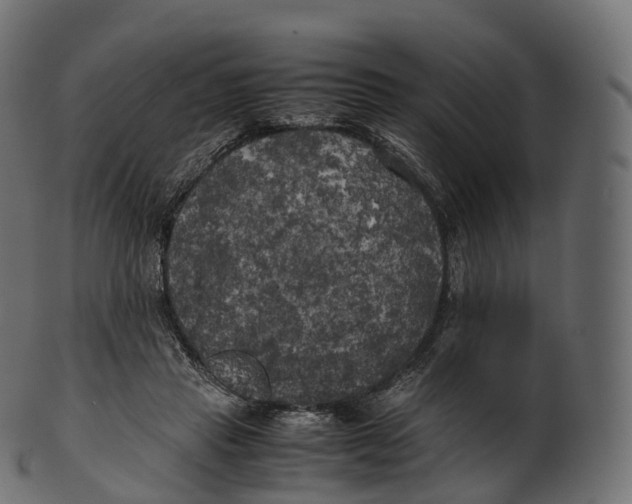 X0000100490453200807031920