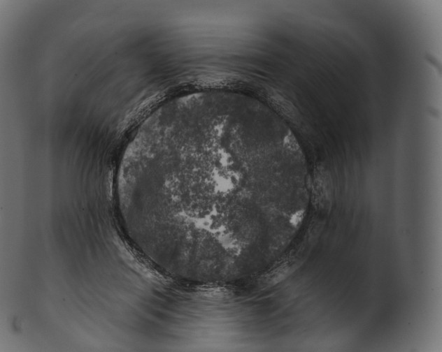 X0000100490454200807031920