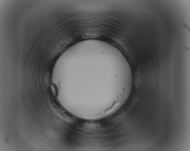 X0000100490455200807031920