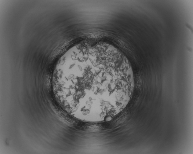 X0000100490456200807031920