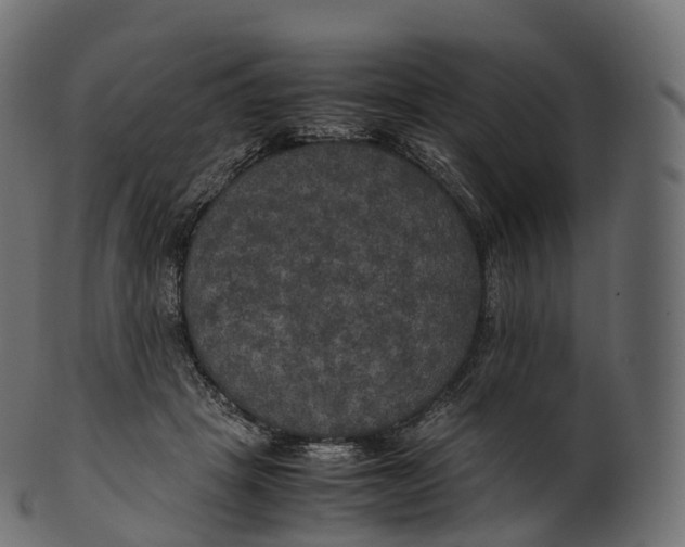 X0000100490457200807031920