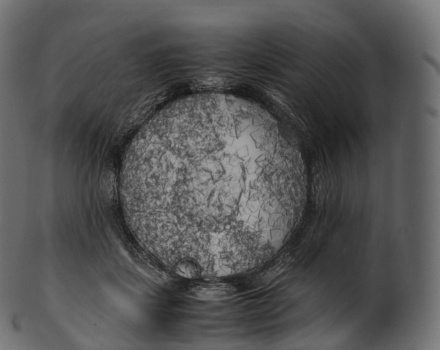 X0000100490459200807031920