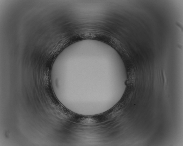 X0000100490460200807031920