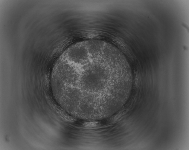 X0000100490461200807031920