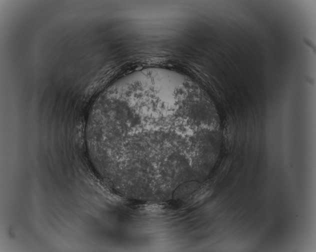 X0000100490462200807031920