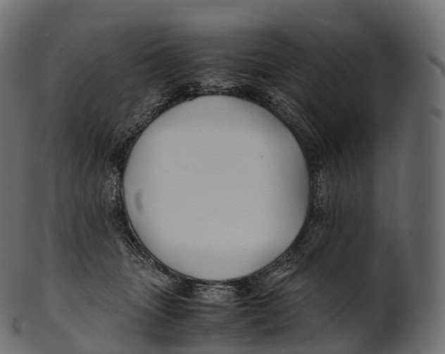 X0000100490463200807031920