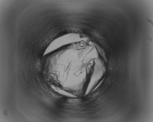 X0000100490465200807031920