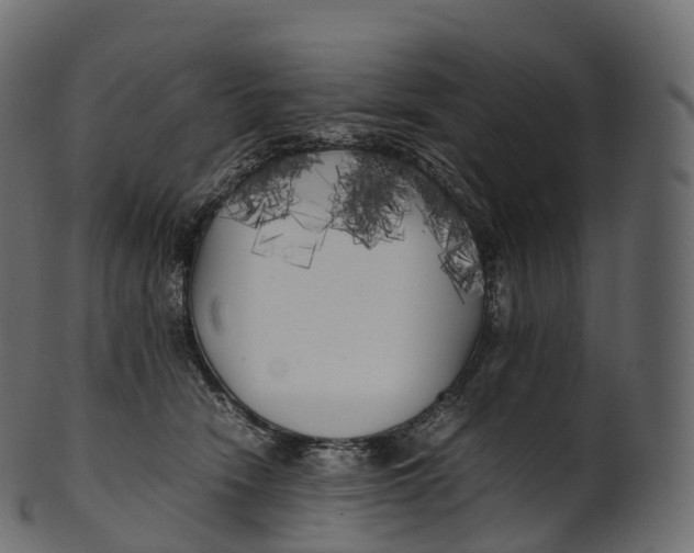 X0000100490466200807031920