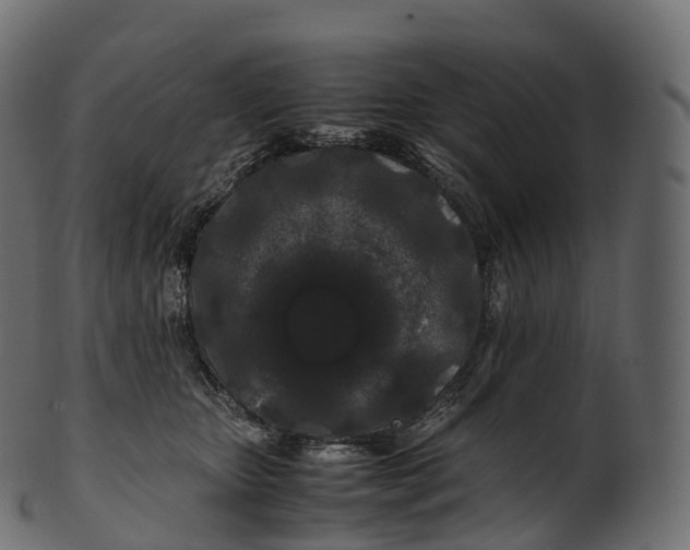 X0000100490467200807031920